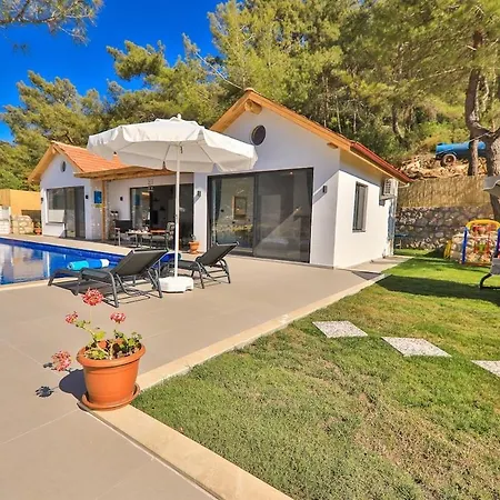 Doga Manzarali Kozalak Kalkan Apartament